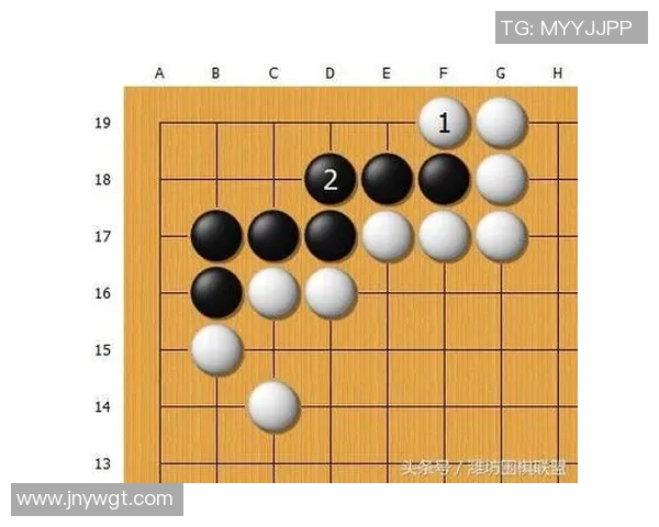 乒乓球战术解析：深入探讨北京乒乓球队的阵地战体系与实战应用